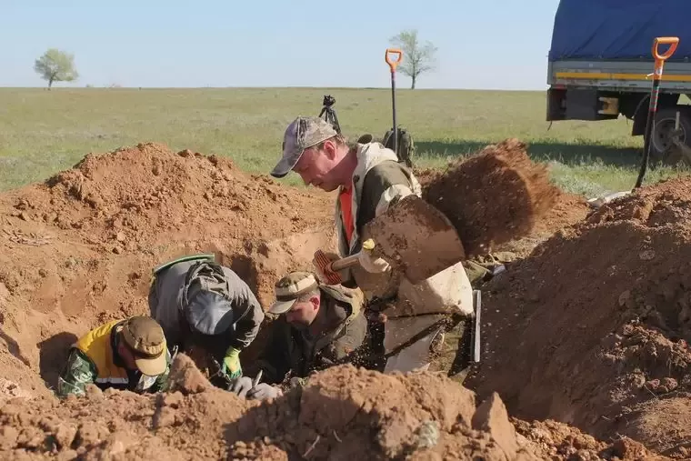 НТР медиахолдингы журналисты Түбән Кама эзләү отряды турындагы видеосы белән халыкара медиапроектта җиңү яулаган