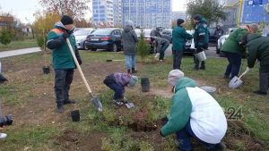 Түбән Каманың 27 нче микрорайонындагы яңа проспектта агачлар утырттылар