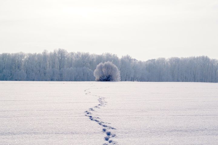 Шулай булды шул, нихәл итим?..