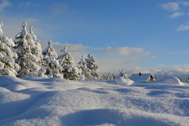 Кышкы салкын