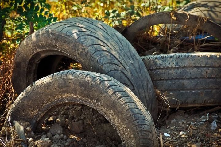 Быел «Экология» илкүләм проекты кысаларында Прости авылы янындагы чүплекне бетерү буенча эшләр башлана.