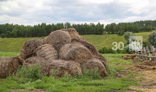 Җаббаров терлек азыгы әзерләүгә җаваплы карарга кушты