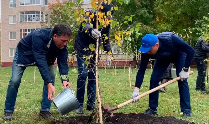 Түбән Камада яңа утыртылган агачларга су сибүне күзәтә башлаячаклар