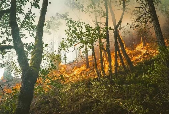 Татарстанда урман янгыннары куркынычы сәбәпле шторм кисәтүе игълан ителде