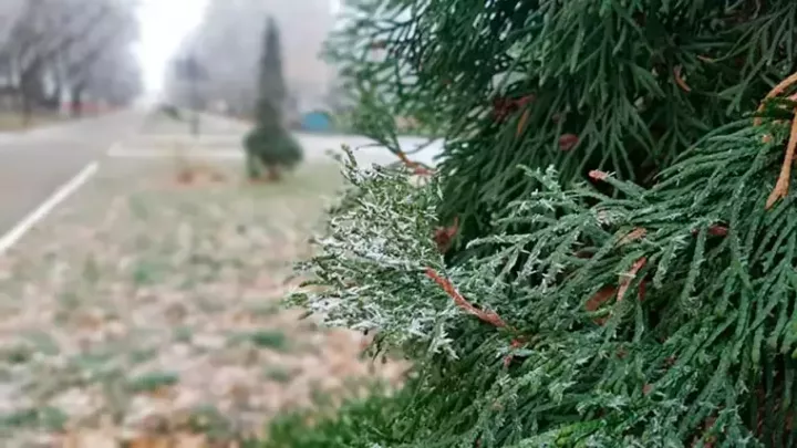 Татарстанда −4 градуска кадәр төнге салкыннар фаразлана