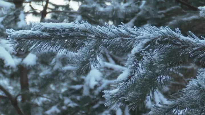 Татарстанда якын көннәрдә кышкы һава торышы урнашачак