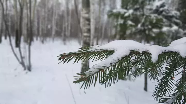 Татарстанда ял көннәрендә томан һәм −22 градус салкын көтелә