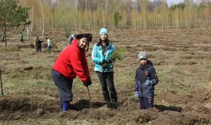 Татарстанда «Хәтер бакчасы» акциясе кысаларында миллионнан артык агач утыртылачак