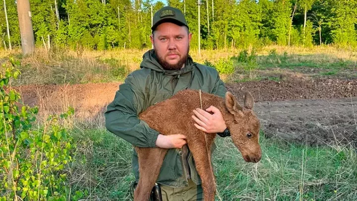 Түбән Кама районында белгечләр поши баласын әсирлектән коткарганнар