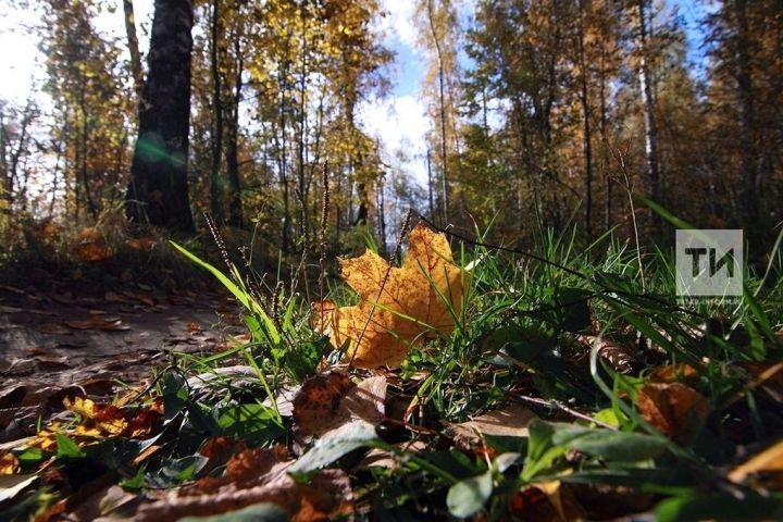 Татарстанга әбиләр чуагының кайчан киләчәге билгеле