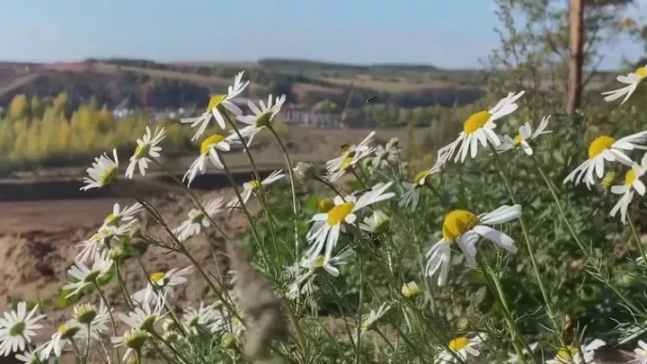 Синоптиклар: Татарстанда бераз суыта