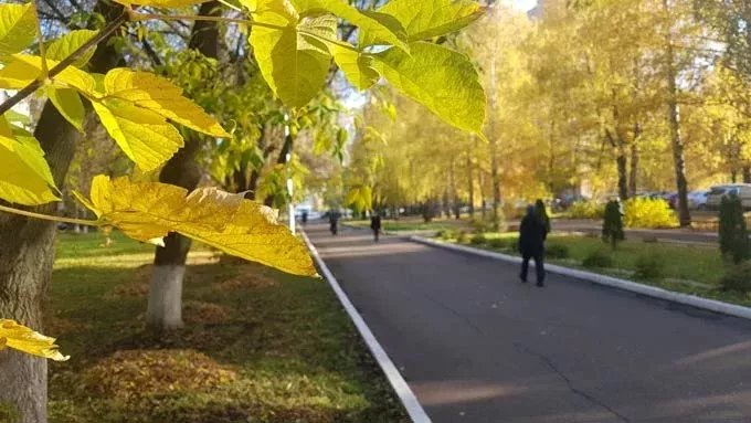 Киләсе атнада Татарстанда әбиләр чуагы башланачак