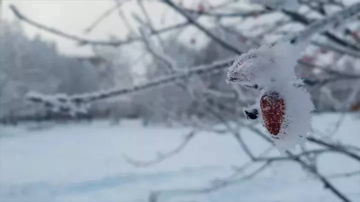 Татарстанда бүген төнлә һава температурасы −29 градуска кадәр төшәчәк