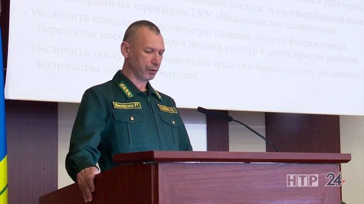 Түбән Камада җирле урманчылык эшенә йомгак ясалды